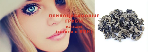МДПВ Мегион