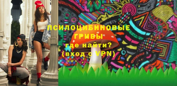 МДПВ Мегион