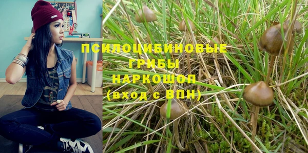 МДПВ Мегион