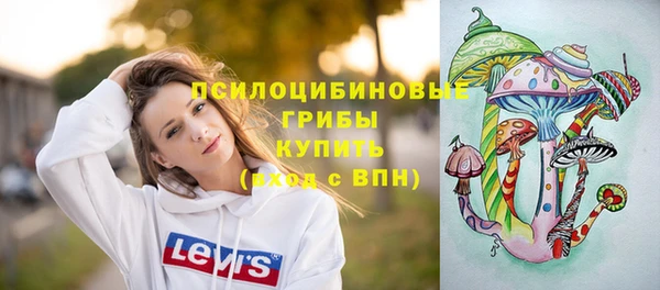МДПВ Мегион