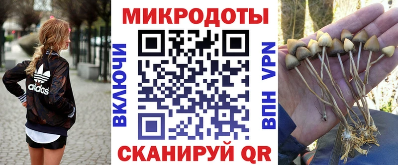 Галлюциногенные грибы MAGIC MUSHROOMS  Купить  Соликамск 