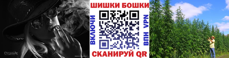 Купить закладки  Соликамск  Бошки Шишки план 
